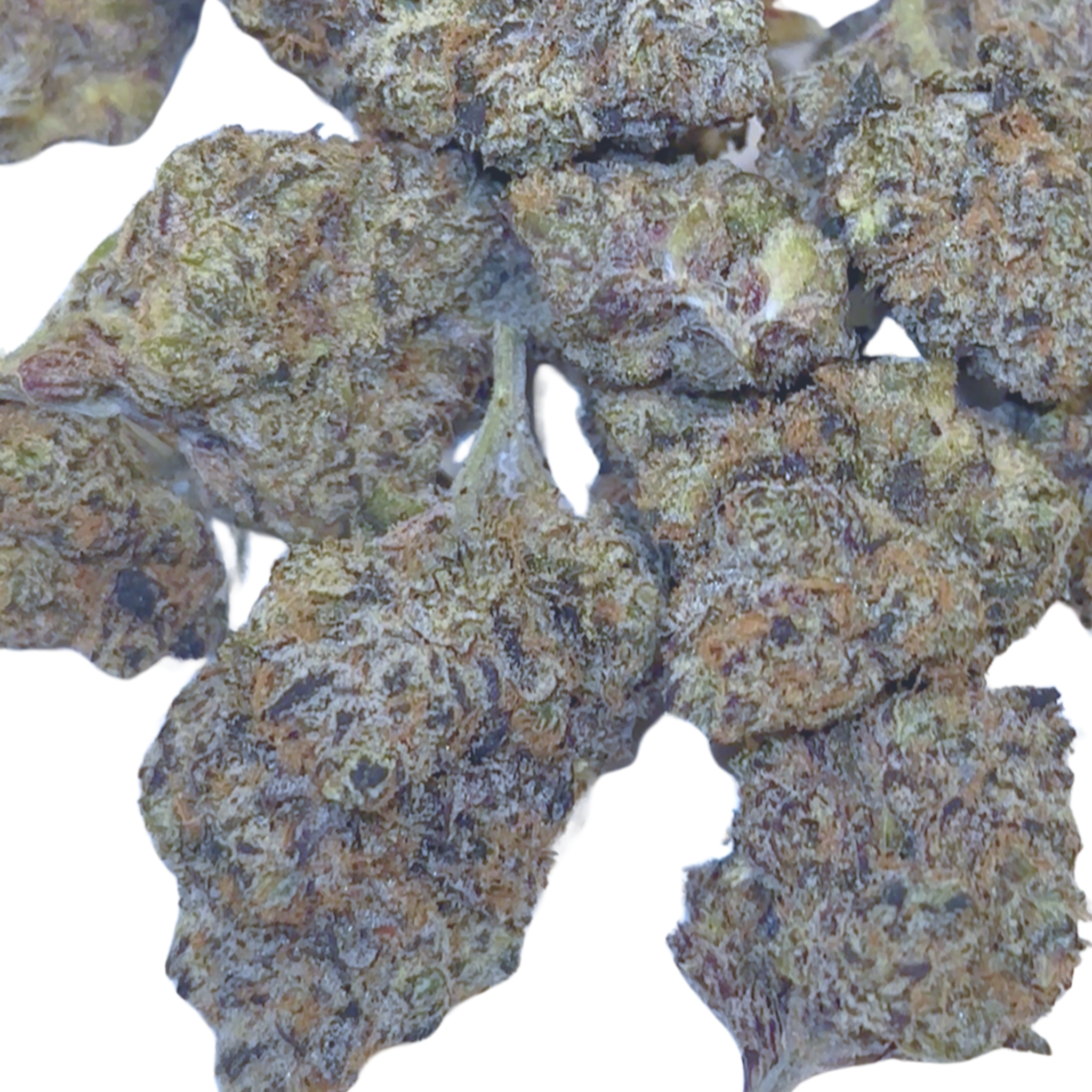 Lemon Cherry Gelato THA FLower
